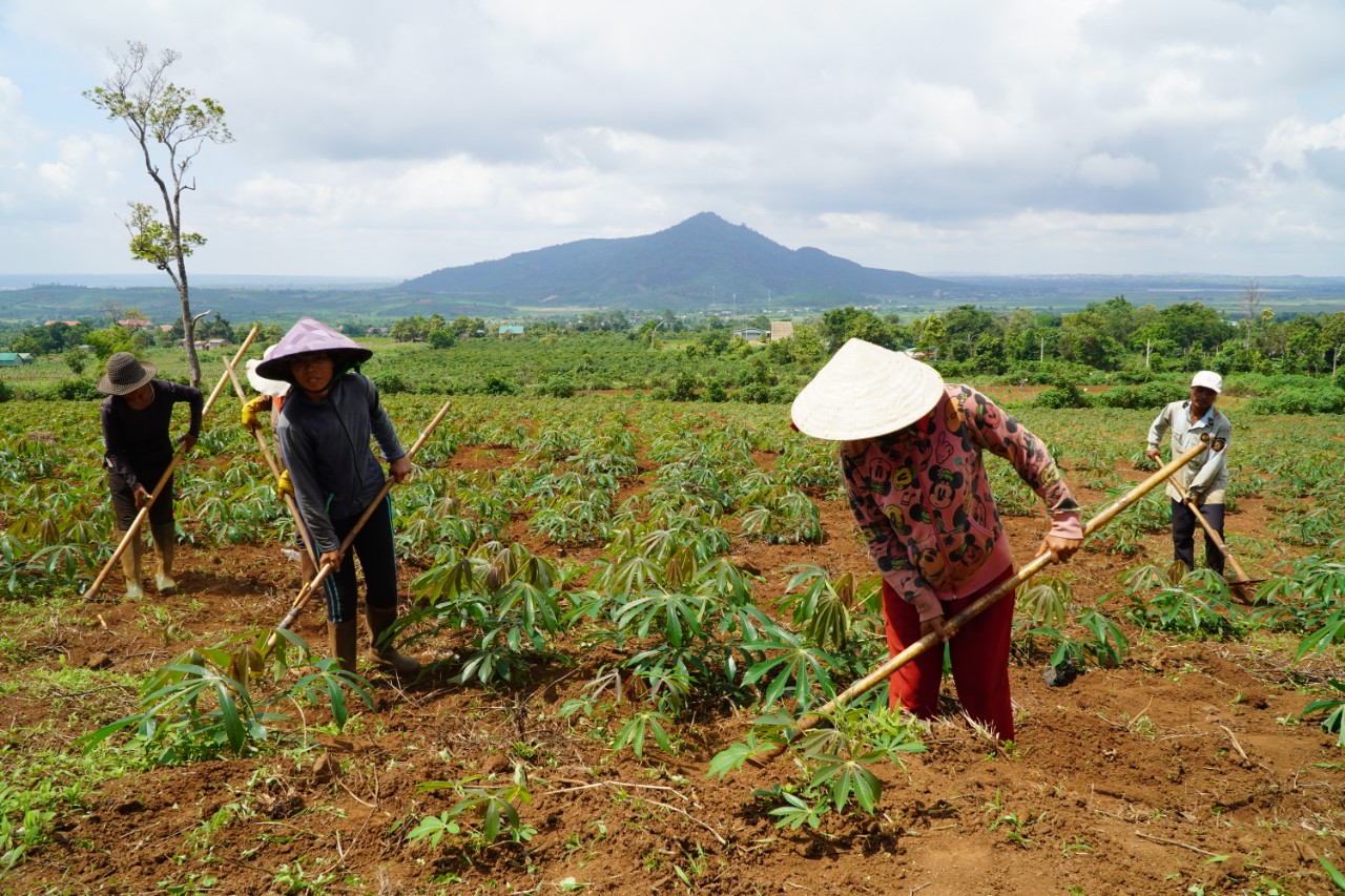 Kỳ thú núi lửa triệu năm độc đáo ở Gia Lai - Ảnh 7.