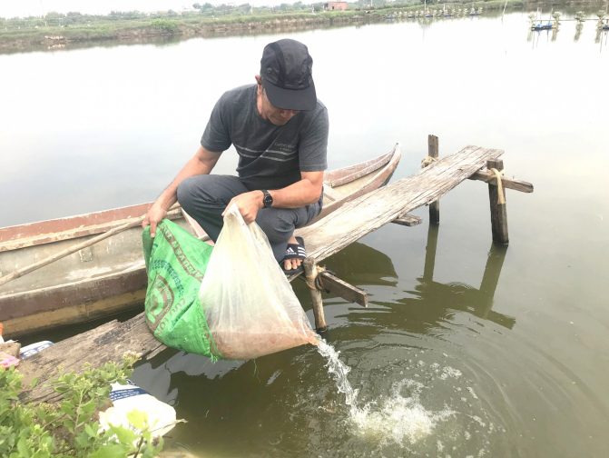 Tôm nuôi chết hàng loạt vì sốc môi trường
