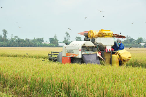 Nông nghiệp: Trụ đỡ vững chắc của nền kinh tế - Ảnh 2.