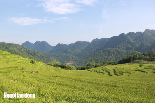 Vẻ đẹp mê mẩn mùa vàng ở Pù Luông - Sa Pa của xứ Thanh - Ảnh 5.