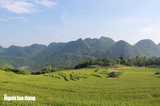 Vẻ đẹp mê mẩn mùa vàng ở Pù Luông - Sa Pa của xứ Thanh - Ảnh 6.