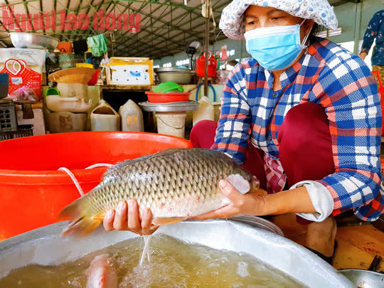 Bí quyết nấu mâm cơm chưa đến 100.000 đồng nhà 4 người ăn của cô giáo - Ảnh 2.