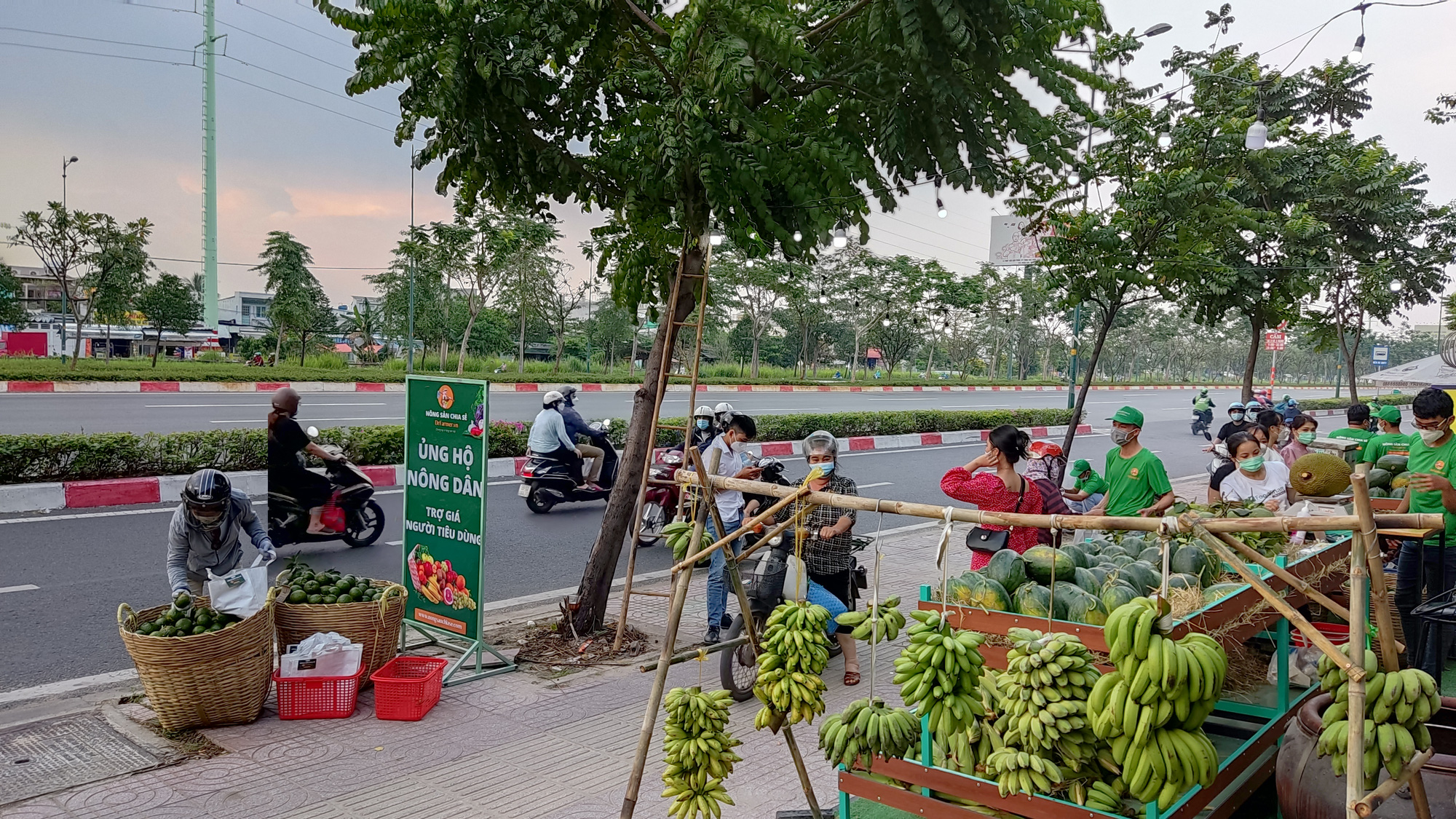 Mở chuỗi nông sản ủng hộ nông dân thay chiến dịch “giải cứu” - Ảnh 1.