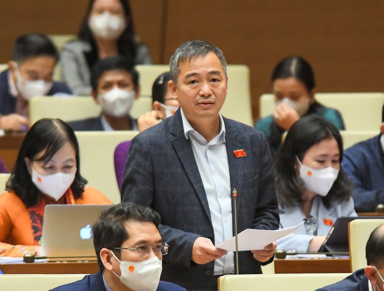 ĐB Nguyễn Lân Hiếu: Hãy để chúng tôi yên tâm với thu nhập, không lăn tăn với cám dỗ nhỏ nhặt - Ảnh 1.