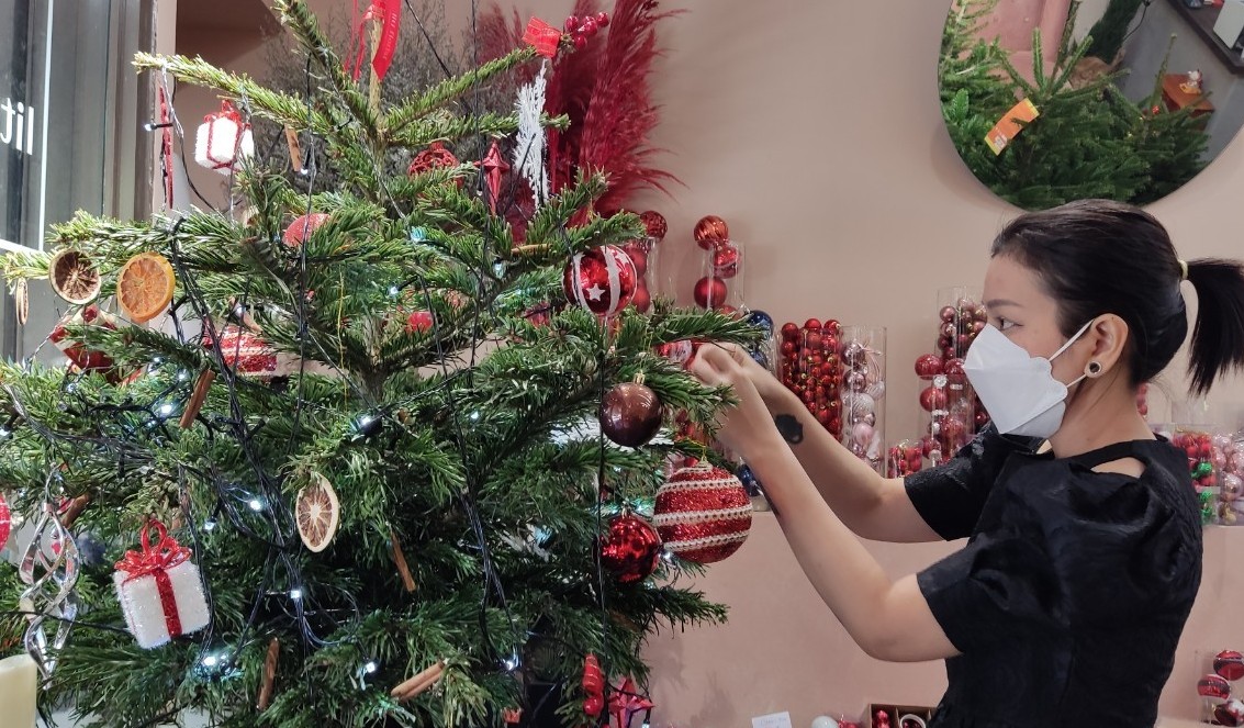 Cây thông tươi châu Âu sẽ mang lại một không gian giáng sinh cổ điển và truyền thống cho người yêu thích lễ hội này. Với cây thông được trang trí đặc biệt, tạo nên một không gian ấm cúng với ánh sáng lung linh, hứa hẹn sẽ mang lại cho bạn những trải nghiệm khó quên trong mùa Giáng sinh này.