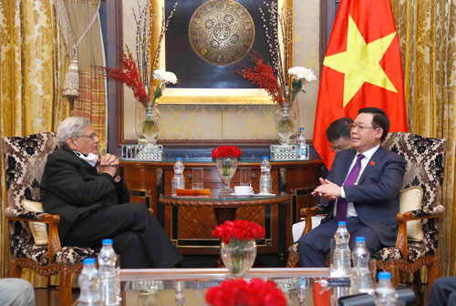 Việt Nam - Ấn Độ hợp tác nhiều lĩnh vực - Ảnh 1.