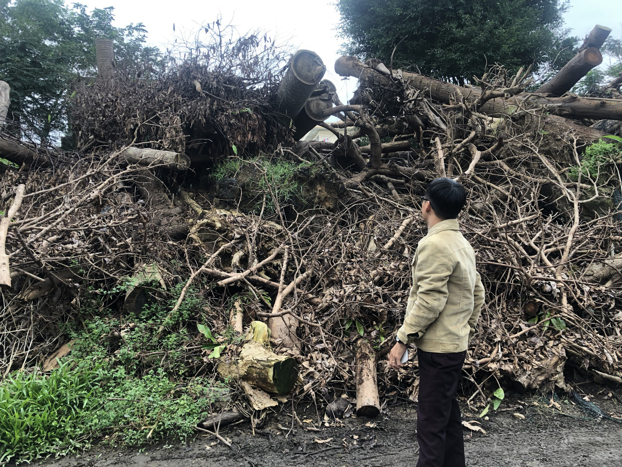 Biến nhà tang lễ thành nơi chứa gỗ, củi khô - Ảnh 2.