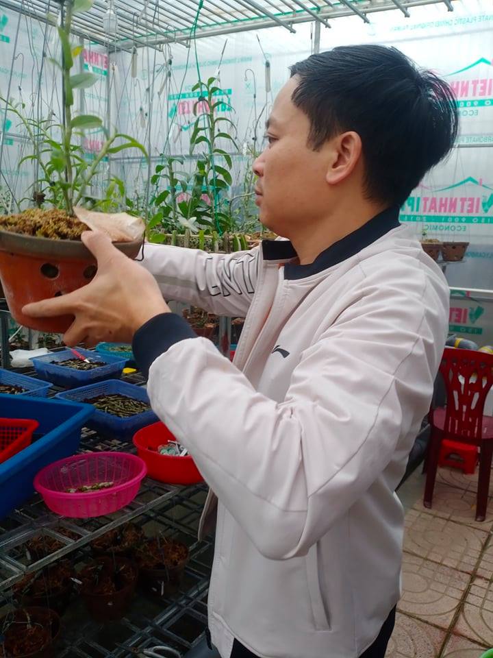 Ông chủ vườn lan 7X Mạnh Hùng chia sẻ kinh nghiệm trồng hoa lan