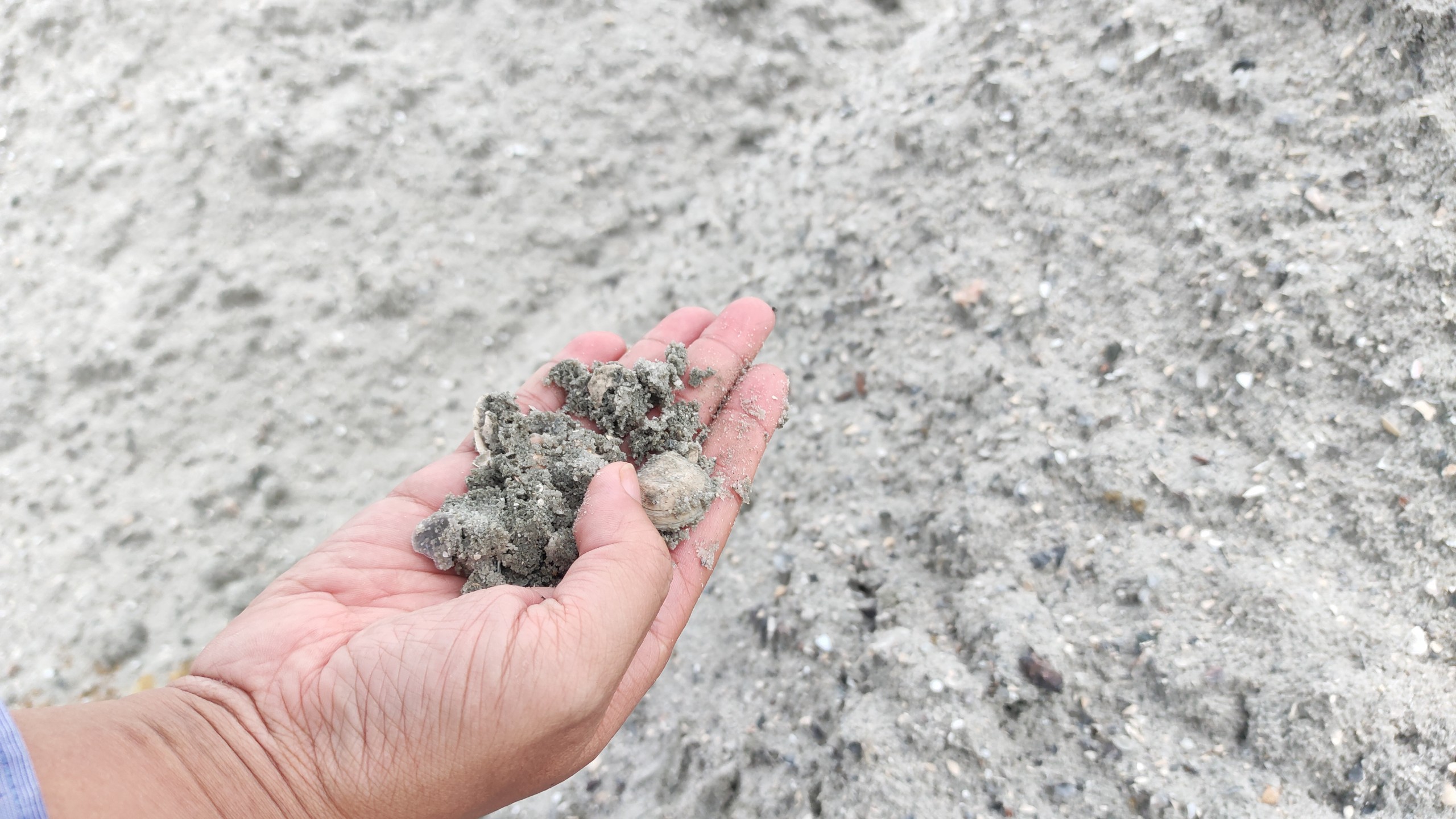 Vụ trục lợi từ nạo vét âu thuyền: Hàng trăm khối cát “lạ” xuất hiện ở dự án làm đường - Ảnh 2.