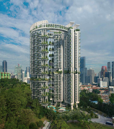 Nhìn ra thế giới: Singapore phát triển khu vườn thẳng đứng - Ảnh 1.