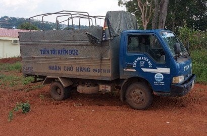 Trộm 3 con bò rồi… thuê xe tải chở đi tiêu thụ - Ảnh 2.