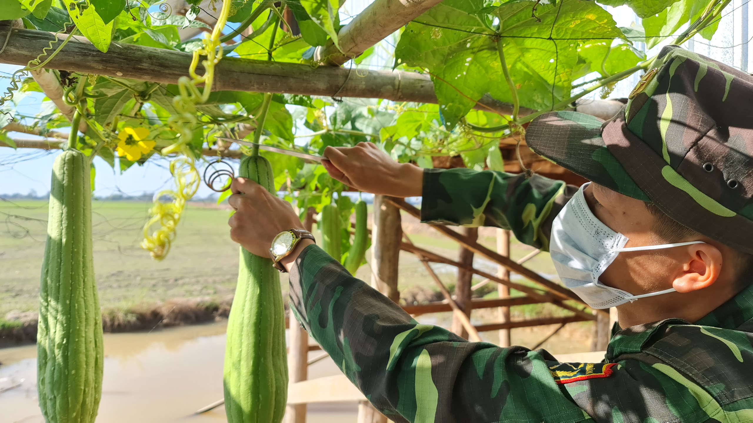 Những hình ảnh gian khổ, hy sinh nơi biên cương Tổ quốc - Ảnh 14.