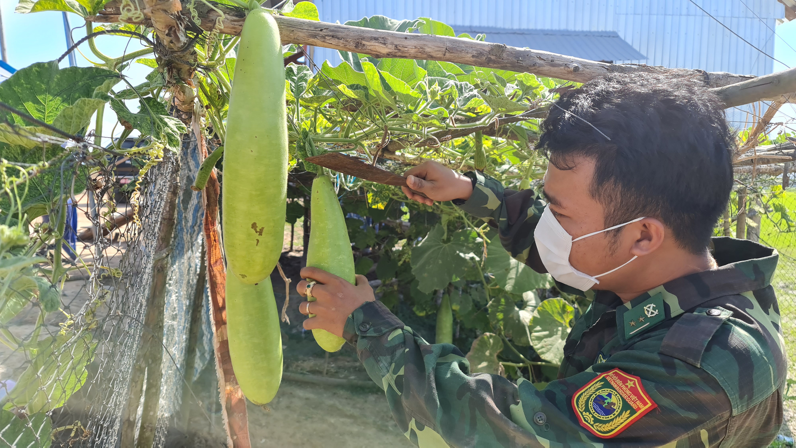 Những hình ảnh gian khổ, hy sinh nơi biên cương Tổ quốc - Ảnh 15.