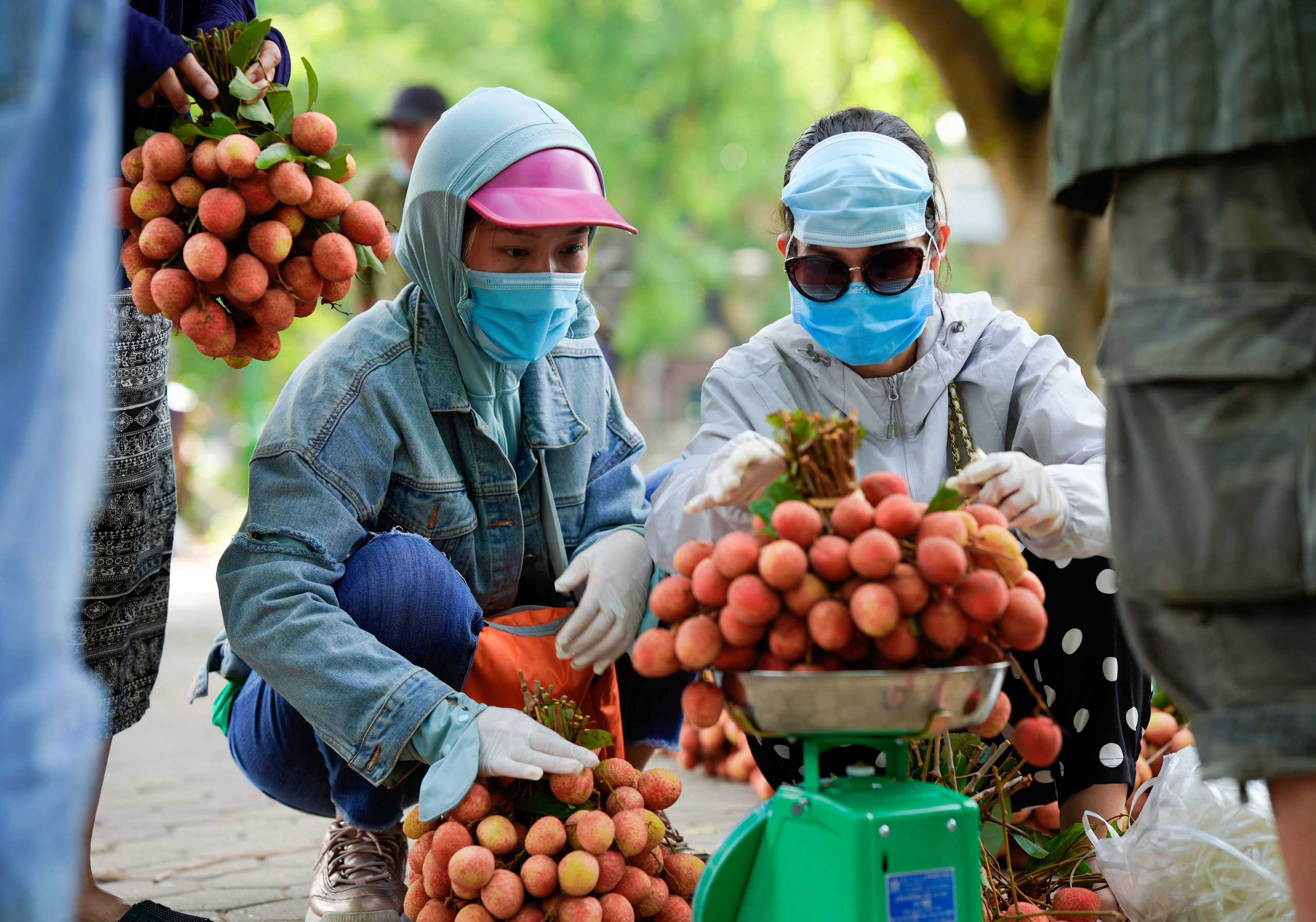 Đội nắng, xếp hàng mua vải ủng hộ nông dân Bắc Giang - Ảnh 11.