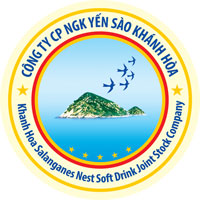 Ngư dân Khánh Hòa nhận cờ Tổ quốc - Ảnh 4.