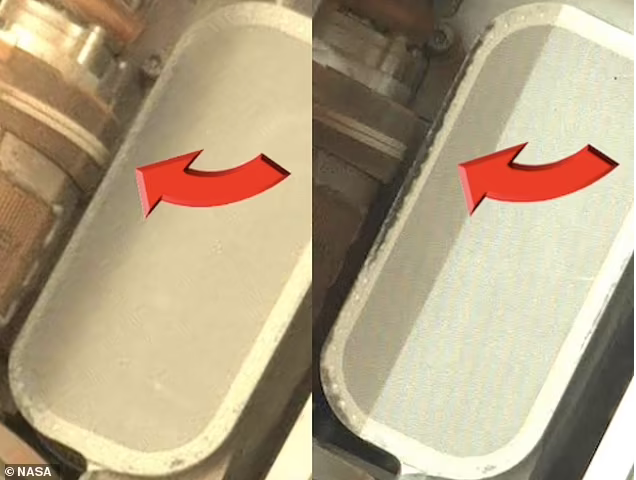 NASA vô tình ghi hình được sự sống ngoài hành tinh? - Ảnh 2. NASA vô tình ghi hình được sự sống ngoài hành tinh? - Ảnh 2.