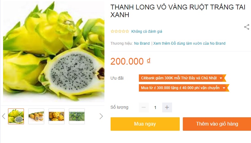 Vì sao thanh long vàng độc - lạ nhưng vẫn rớt giá thảm hại? - Ảnh 4.