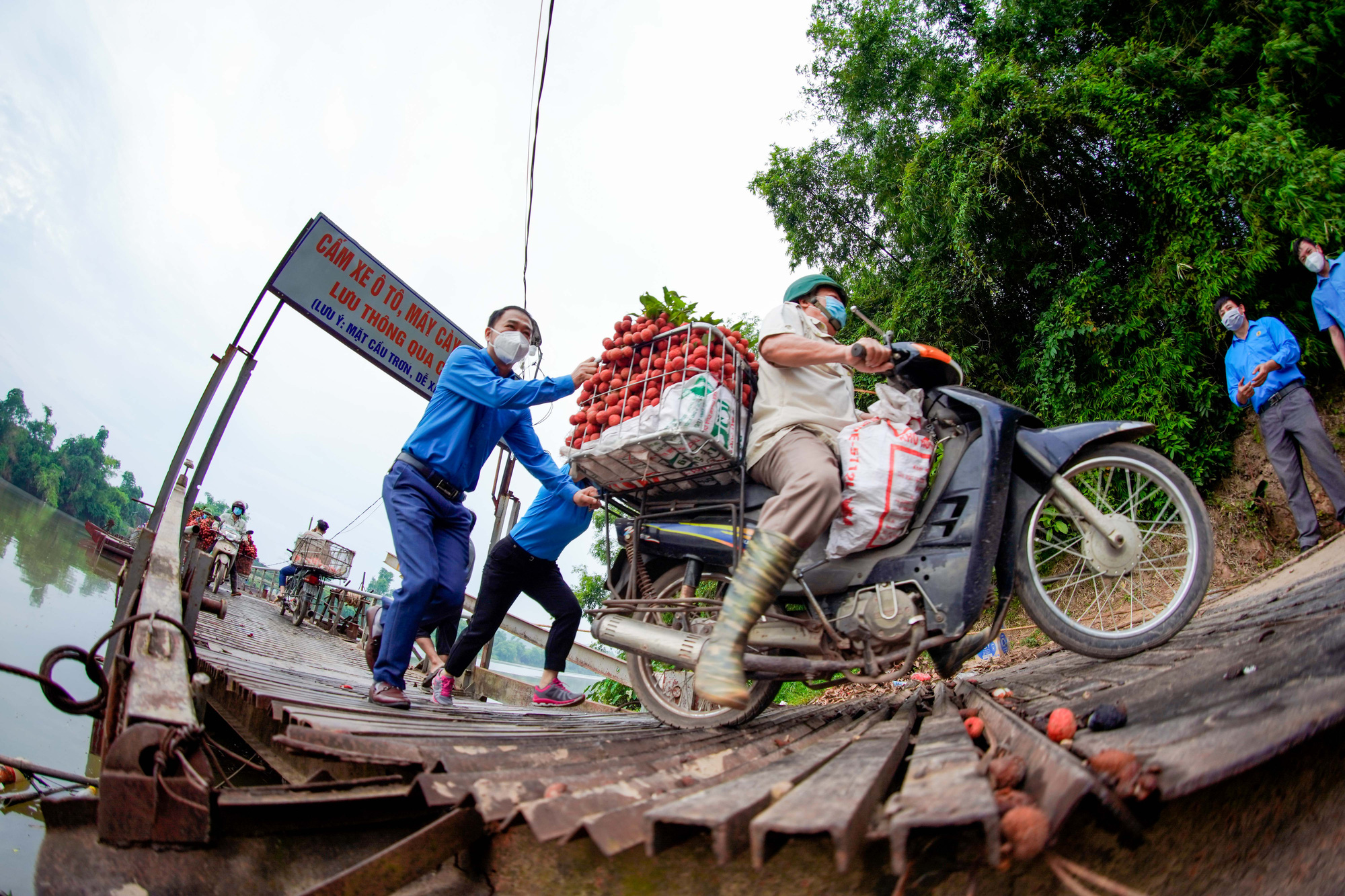 Cận cảnh nông dân chở vải thót tim đi qua cây cầu có con dốc dựng đứng - Ảnh 2.