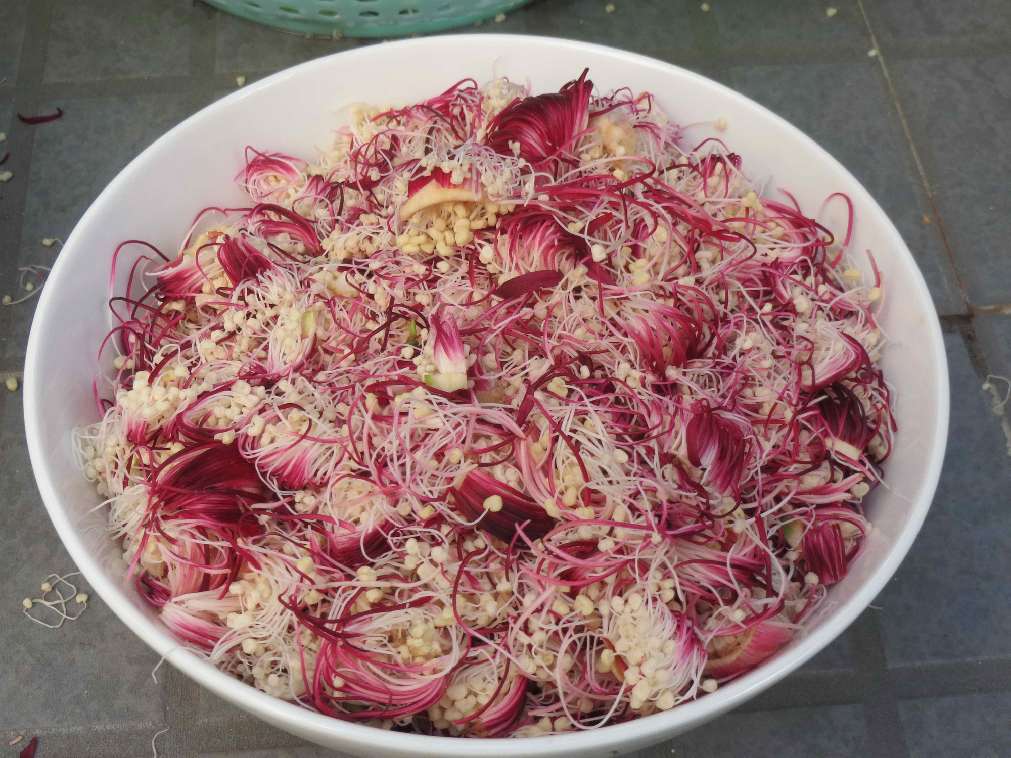 Gỏi gà bông bần - Ảnh 1.