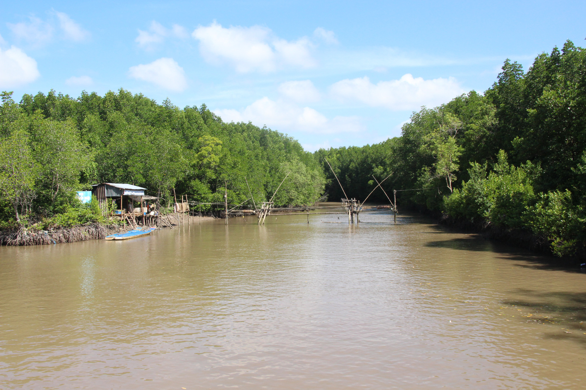 Trải nghiệm thú vị ở rừng ngập mặn lớn nhất Việt Nam - Ảnh 9.