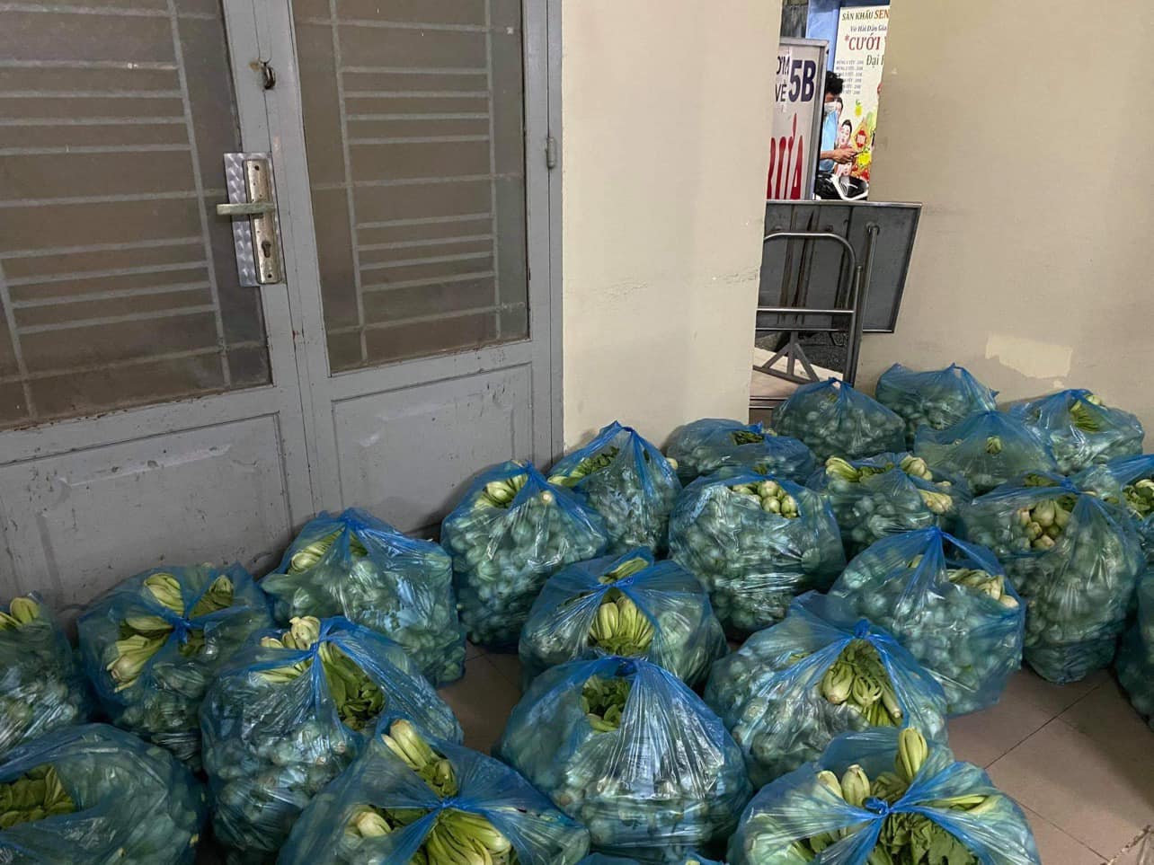 Dai Nghia និង Nhat Kim Anh រវល់ផ្ញើបន្លែ និងអង្ករដល់ជនក្រីក្រ - រូបថត ១. Đại Nghĩa, Nhật Kim Anh tất bật gửi rau, gạo cho người nghèo - Ảnh 1.