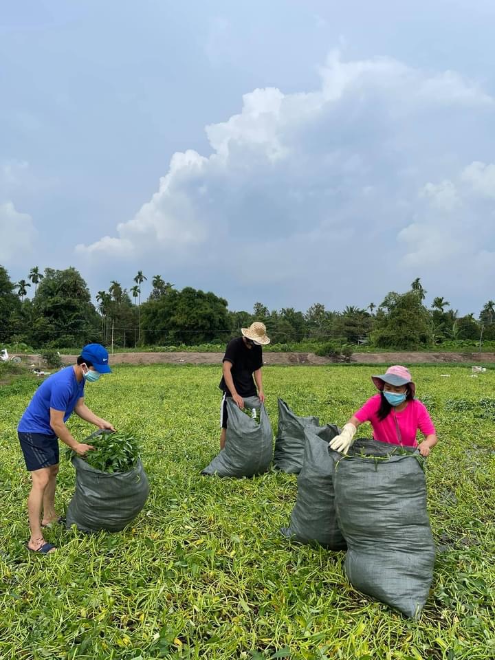 Hoa hậu Khánh Vân cùng nhiều nghệ sĩ tiếp tục hỗ trợ người dân chống dịch - Ảnh 5.