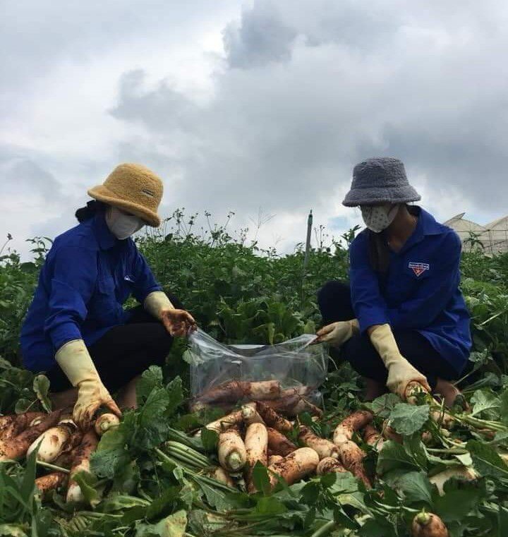 Thực phẩm miễn phí cùng cả nước chống dịch: Vì chúng ta chảy chung dòng máu - Ảnh 1.