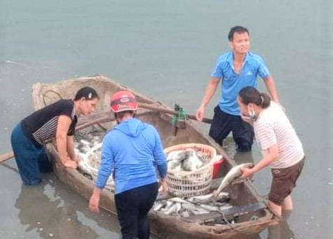 Hàng chục tấn cá lồng chết bất thường ở Thanh Hóa - Ảnh 2.