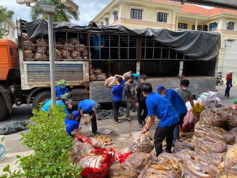 Nông sản từ Lâm Đồng đi xuyên đêm về tặng người dân TP HCM - Ảnh 8.