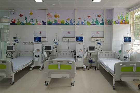 Thấy gì từ nguồn lực tư nhân góp sức chống dịch? - Ảnh 1. Thấy gì từ nguồn lực tư nhân góp sức chống dịch? - Ảnh 1.