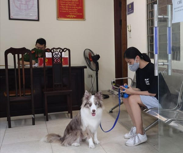 16 hành vi vi phạm phòng chống dịch có thể bị phạt tiền tới 200 triệu đồng, phạt tù tới 15 năm - Ảnh 1. 16 hành vi vi phạm phòng chống dịch có thể bị phạt tiền tới 200 triệu đồng, phạt tù tới 15 năm - Ảnh 1.
