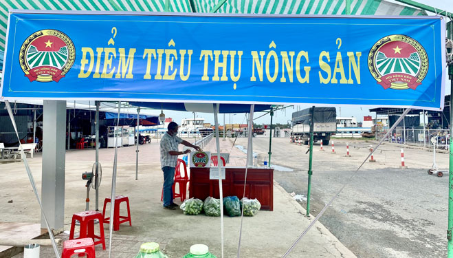 Giúp dân tiêu thụ nông sản - Ảnh 1.