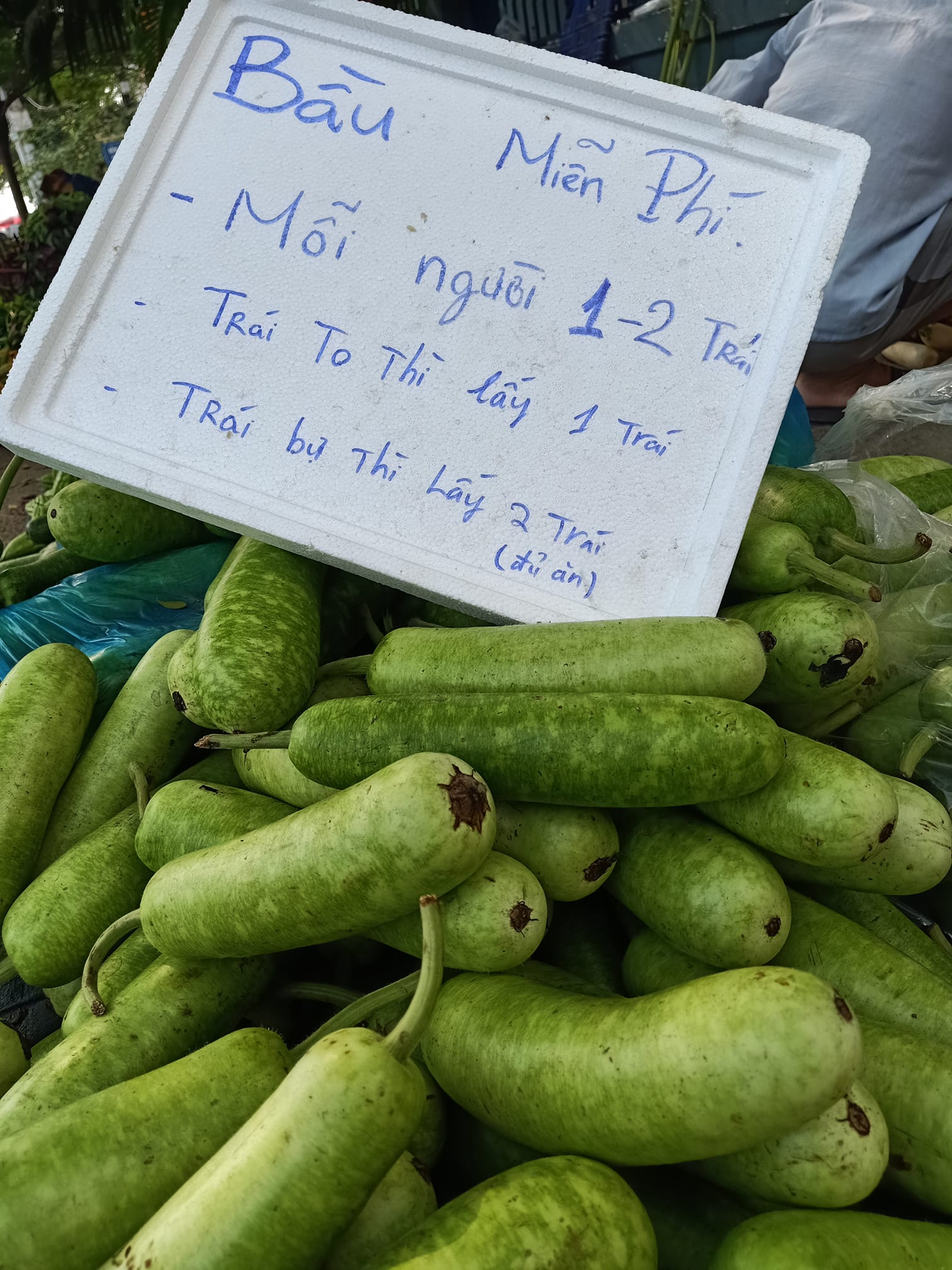 Anh bán rau Minh Râu chia sẻ bí quyết trị bệnh chán đời