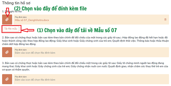 Cách nộp hồ sơ online nhận hỗ trợ Covid-19 khi không đủ điều kiện nhận trợ cấp thất nghiệp - Ảnh 4.