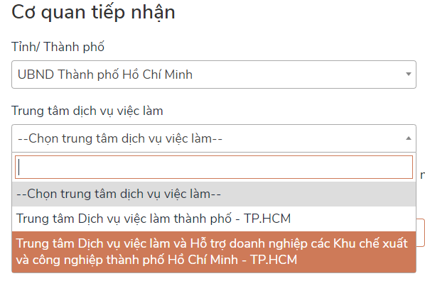 Cách nộp hồ sơ online nhận hỗ trợ Covid-19 khi không đủ điều kiện nhận trợ cấp thất nghiệp - Ảnh 5.