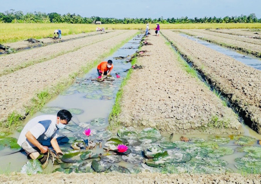 Lan tỏa yêu thương ở Sóc Trăng, Tiền Giang - Ảnh 2.