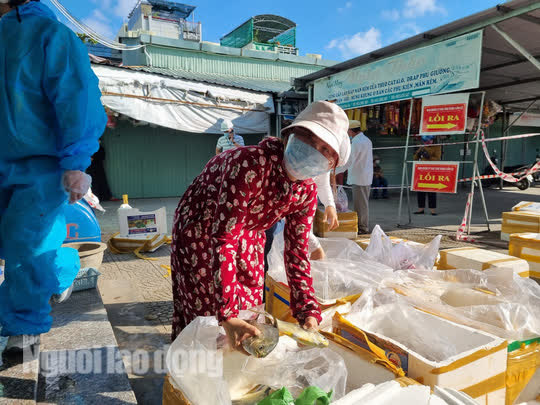 Đà Nẵng: Mở phiên chợ lưu động bán thịt cá tươi đến khu dân cư - Ảnh 3.
