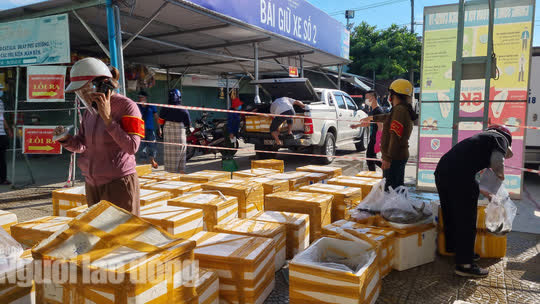 Đà Nẵng: Mở phiên chợ lưu động bán thịt cá tươi đến khu dân cư - Ảnh 2.
