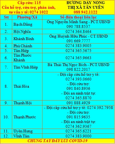 Bình Dương: Người dân có thể gọi trực tiếp cho lãnh đạo phường, xã, thị trấn khi cần hỗ trợ - Ảnh 2.