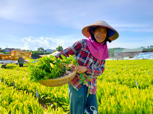 Những vùng đất hồi sinh sau bão lũ (*): Điều kỳ diệu sau đại hồng thủy - Ảnh 1. Những vùng đất hồi sinh sau bão lũ (*): Điều kỳ diệu sau đại hồng thủy - Ảnh 1.