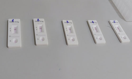 Cách sử dụng kit test SARS-CoV-2 tại nhà - Báo Người lao động