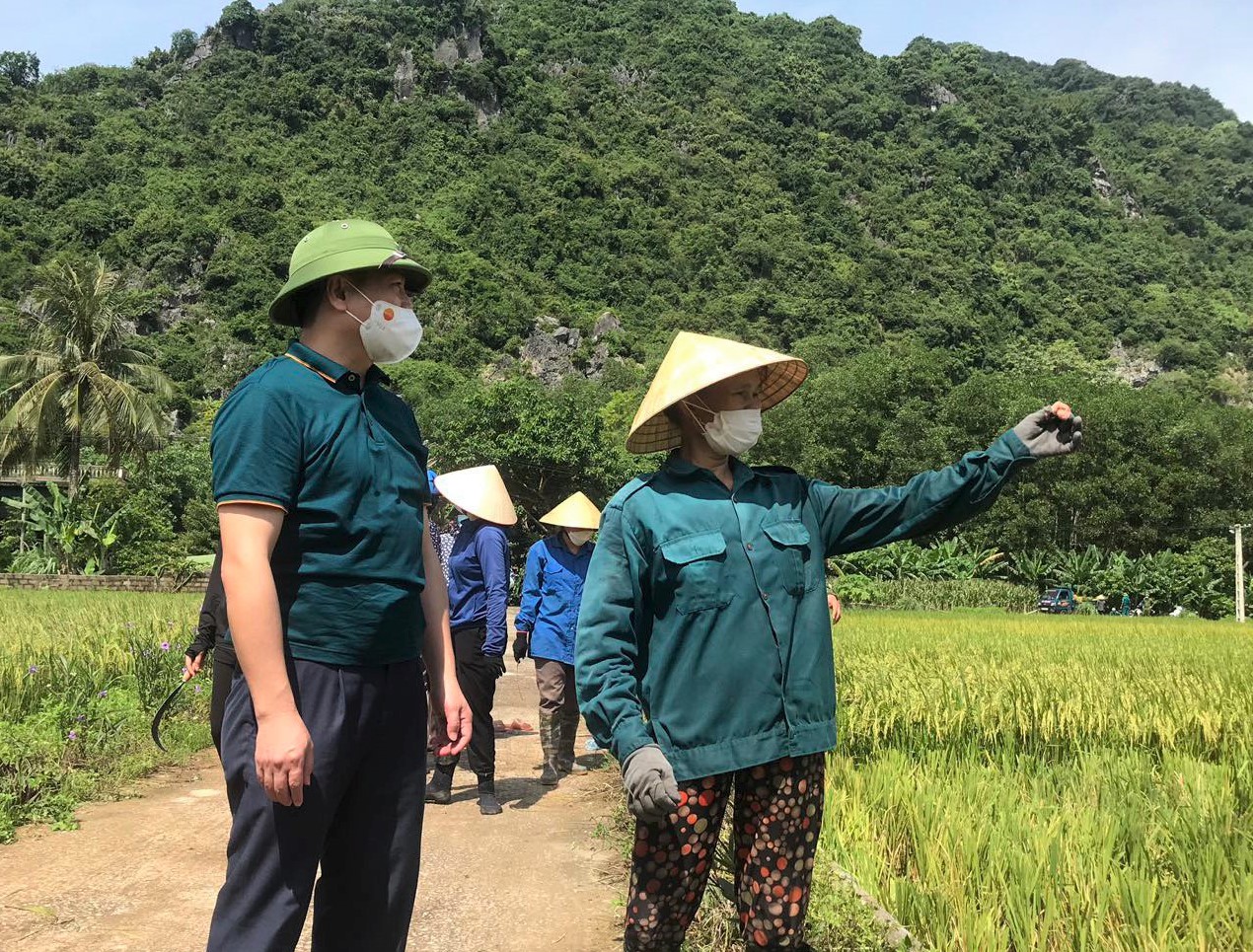 Bí thư huyện ở Thanh Hóa xuống đồng giúp dân gặt lúa chạy bão số 5 - Ảnh 4.
