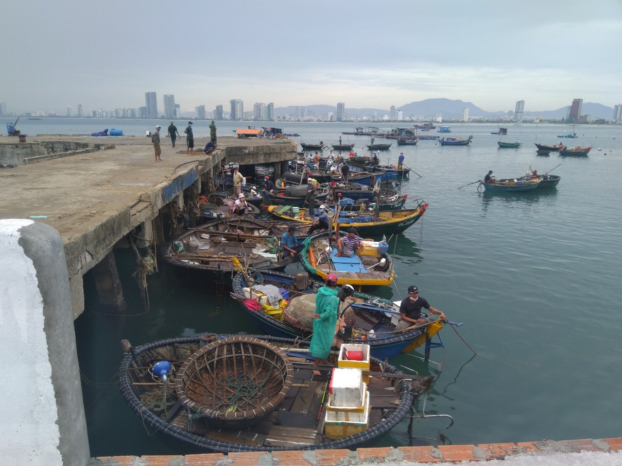 Miền Trung: Ngư dân hối hả kéo tàu, thuyền lên bờ, chạy đua gặt lúa tránh bão số 5 - Ảnh 6.