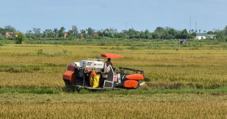 Miền Trung: Ngư dân hối hả kéo tàu, thuyền lên bờ, chạy đua gặt lúa tránh bão số 5 - Ảnh 10.