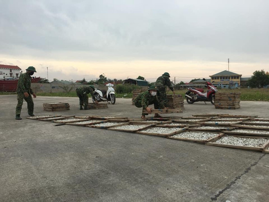 Miền Trung: Ngư dân hối hả kéo tàu, thuyền lên bờ, chạy đua gặt lúa tránh bão số 5 - Ảnh 13.