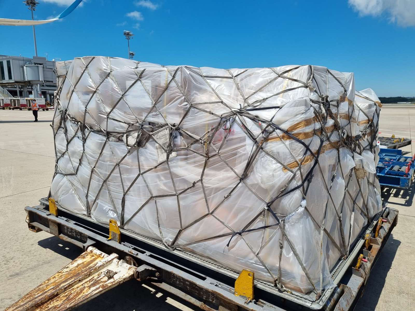 Trang thiết bị y tế chống dịch Covid-19 từ Singapore đến Việt Nam - Ảnh 5. Trang thiết bị y tế chống dịch Covid-19 từ Singapore đến Việt Nam - Ảnh 5.
