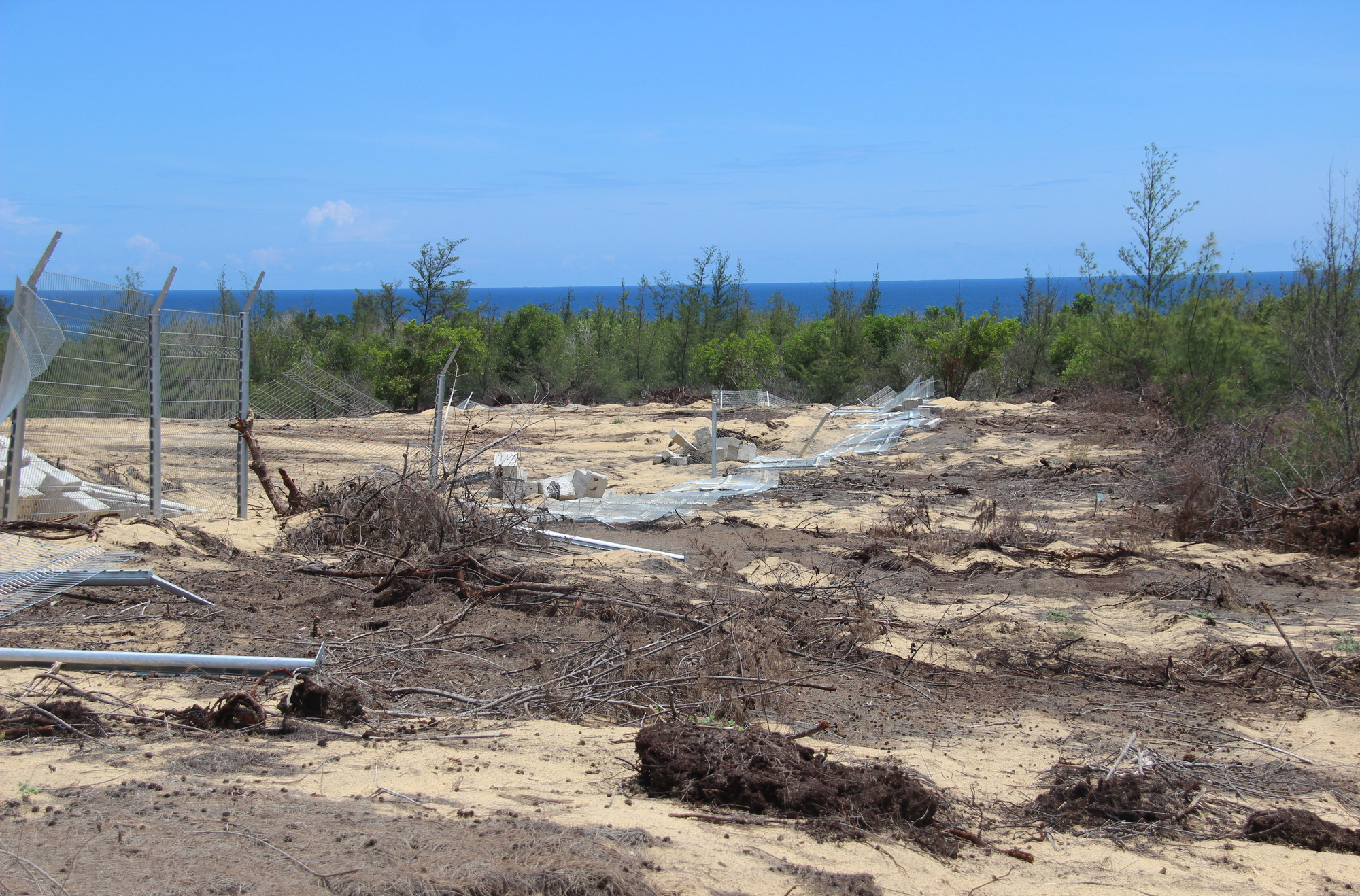Phá 5,26 ha rừng phòng hộ ven biển, doanh nghiệp chỉ bị đề xuất phạt hành chính - Ảnh 2.