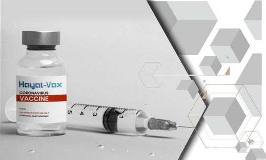 Cấp phép nhập khẩu 30 triệu liều vắc-xin Covid-19 Hayat-Vax - Ảnh 2.