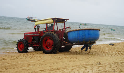 Ngư dân Bà Rịa- Vũng Tàu vỡ òa khi cá, tôm đầy thuyền trong ngày đầu mở biển - Ảnh 5.