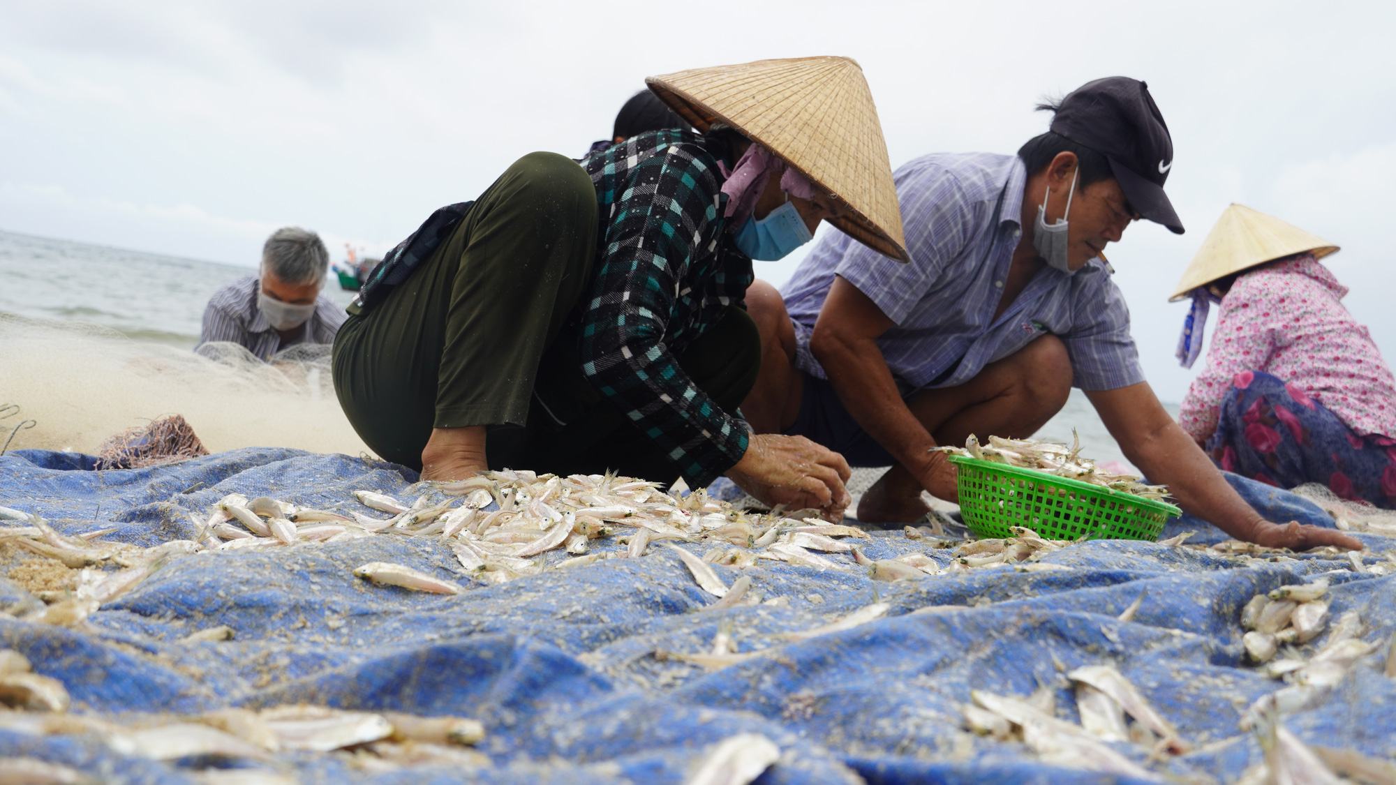 Ngư dân Bà Rịa- VÅ©ng Tà u vỡ òa khi cá, tôm đầy thuyá»n trong ngà y đầu mở biển - Ảnh 8. Ngư dân Bà Rịa- VÅ©ng Tà u vỡ òa khi cá, tôm đầy thuyá»n trong ngà y đầu mở biển - Ảnh 8.